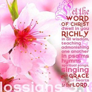 Meet your Posher,